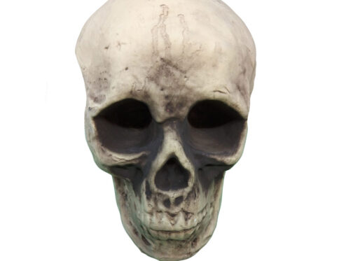 Teschio Decorativo Halloween in Foam 10×12 cm