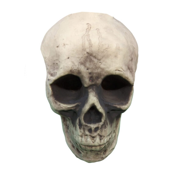 Teschio Decorativo Halloween in Foam 10x12 cm