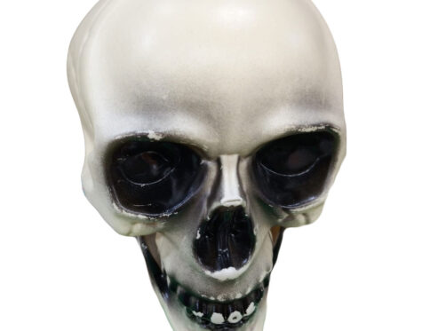 Teschio Decorativo Halloween in Plastica 10×12 cm