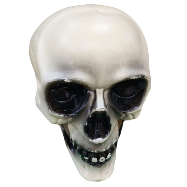 Teschio Decorativo Halloween in Plastica 10x12 cm