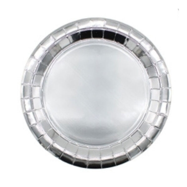 Piatti Lucidi Argento 24cm - 15 pz